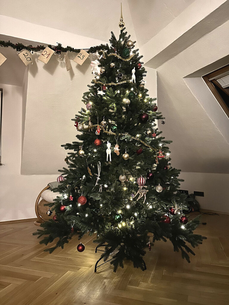 Weihnachtsbaum